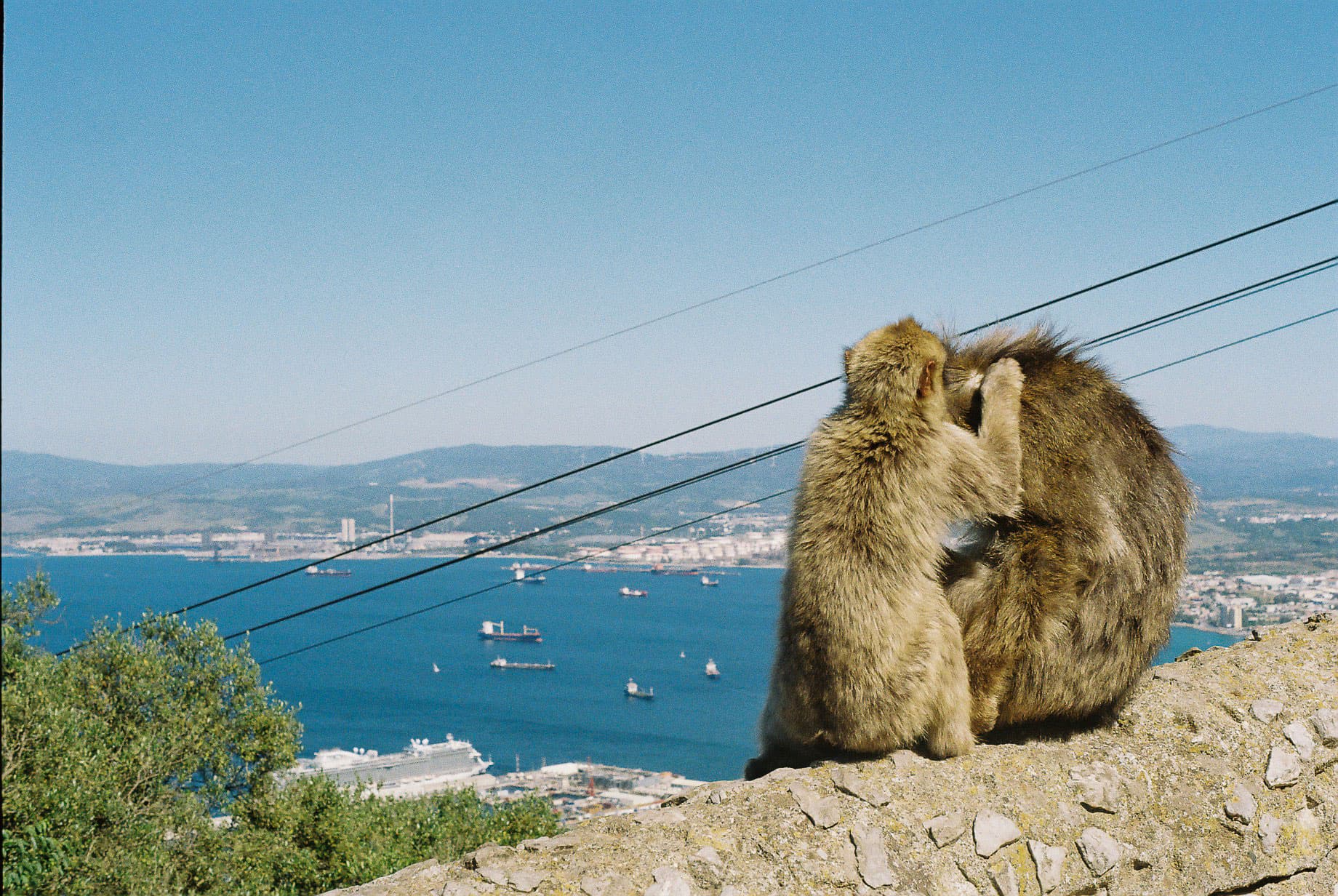 Reminder to help each other out in life